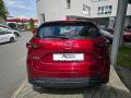 N�hled 4
