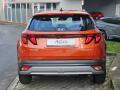 N�hled 4