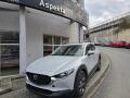 Mazda CX-30 X186 6AT AWD TAKUMI SUNR WLOP