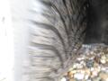 N�hled 4