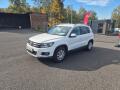 Volkswagen Tiguan 2.0TDi 130kW 4x4, DSG,webasto,