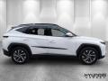 N�hled 4