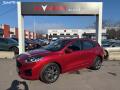 Ford Kuga 2.0 EcoBlue ST Line