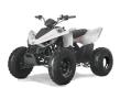 Linhai ATV 110