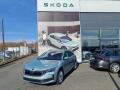 �koda Octavia 130let Premium 2.0 TDI DSG
