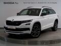 �koda Kodiaq RS 2.0TDI 176KW 4x4 DSG TA�N�