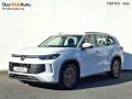 Volkswagen Tayron 2.0 TDI,142kW,DSG,4x4,Matrix,T