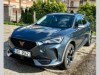 Cupra Formentor 2.0 TSI 4x4 Nadstandardn vb.