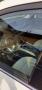 N�hled 4