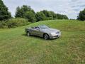 Mercedes-Benz CLK 