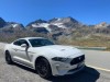 Ford Mustang 5.0 /310kW