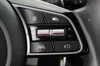 Kia Ceed (2022) 1.5 T-GDI - náhled 14