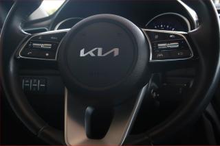 Kia Ceed (2022) 1.5 T-GDI MHEV, 35 TKM - náhled 16