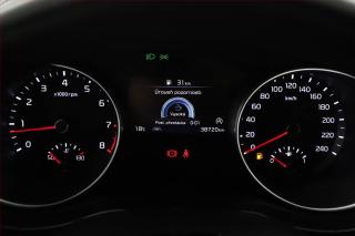 Kia Ceed (2022) Top 1.5 T-GDI, 1.maj, ČR, DPH - náhled 8