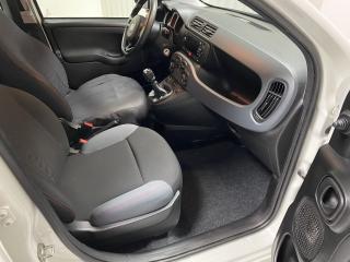 Fiat Panda 1.0i HYBRID + LPG ČR 1.MAJ DPH - náhled 13