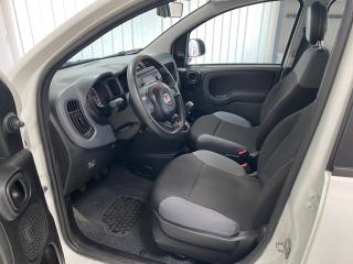 Fiat Panda 1.0i HYBRID + LPG ČR 1.MAJ DPH - náhled 19