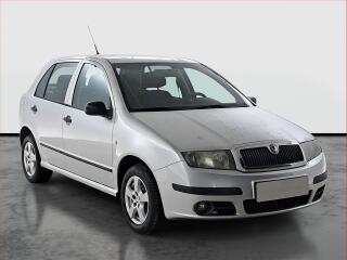 �koda Fabia 1.2 12V, po STK, v provozu