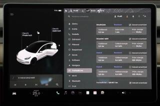 Tesla Model 3 (2021) Performance 82kWh, SoH 81% - náhled 8