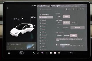Tesla Model 3 (2021) Performance 82kWh, SoH 81% - náhled 14