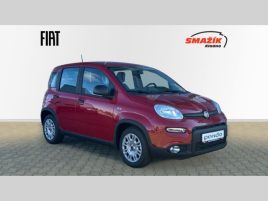 Fiat Panda 1.0 Firefly 70k - COLD