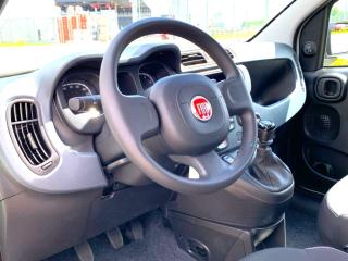Fiat Panda (2024) 1,0 Firefly 70k - náhled 10