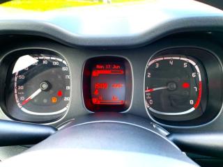 Fiat Panda (2024) 1,0 Firefly 70k - náhled 12