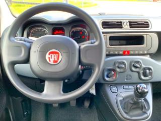Fiat Panda (2024) 1,0 Firefly 70k - náhled 13