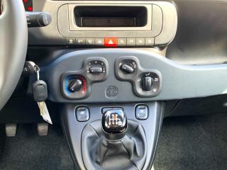 Fiat Panda (2024) 1,0 Firefly 70k - náhled 14