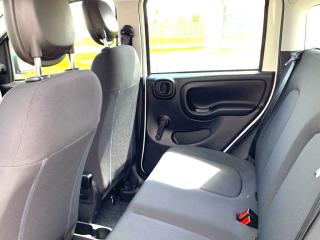 Fiat Panda (2024) 1,0 Firefly 70k - náhled 8
