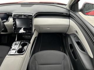 Hyundai Tucson 1.6 T-GDI  4x4 Exclusive - náhled 18