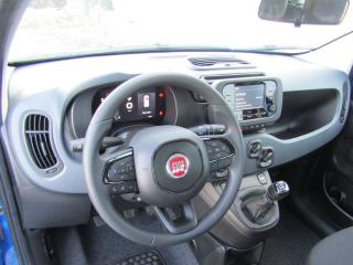 Fiat Panda MY 25, 1.0 70cv Hybrid - náhled 10