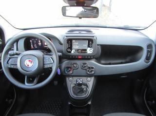 Fiat Panda MY 25, 1.0 70cv Hybrid - náhled 21