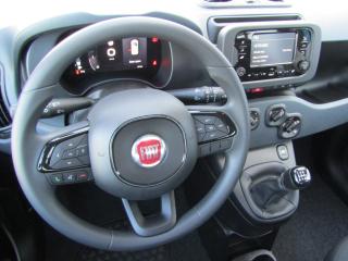 Fiat Panda MY 25, 1.0 70cv Hybrid - náhled 22