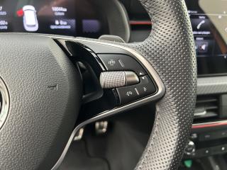 Škoda Kamiq 1.5 TSI Monte Carlo - náhled 12