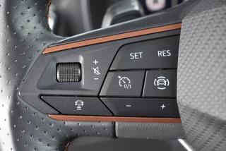 Cupra Formentor (2024) 2.0TSI 140kW DSG 4X4 - náhled 17