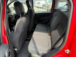 Fiat Panda FireFly 1.0 70cv 51kw BSG - náhled 19