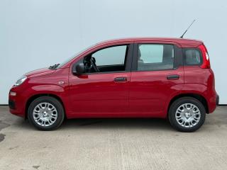 Fiat Panda FireFly 1.0 70cv 51kw BSG - náhled 3
