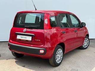Fiat Panda FireFly 1.0 70cv 51kw BSG - náhled 4