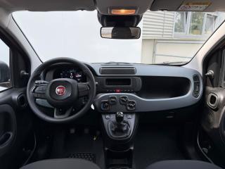Fiat Panda FireFly 1.0 70cv 51kw BSG - náhled 5