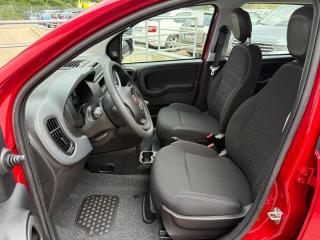 Fiat Panda FireFly 1.0 70cv 51kw BSG - náhled 7