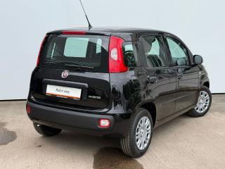 Fiat Panda FireFly 1.0 70cv 51kw BSG - náhled 2