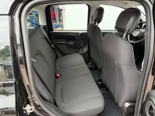 Fiat Panda FireFly 1.0 70cv 51kw BSG - náhled 20