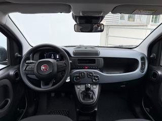 Fiat Panda FireFly 1.0 70cv 51kw BSG - náhled 5