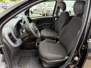 Fiat Panda FireFly 1.0 70cv 51kw BSG - náhled 7