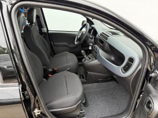 Fiat Panda FireFly 1.0 70cv 51kw BSG - náhled 8