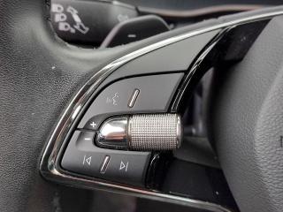 Škoda Octavia (2022) combi Style Plus 2,0 Tdi 110 K - náhled 26