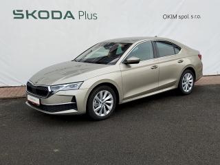 �koda Octavia Top Selection 2.0 Tdi 85 Kw  (