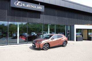 Lexus UX 300h UX300h Luxury 4x4