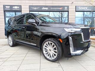 Cadillac Escalade Platinum 600,no�n� vid�n�,AKG