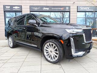 Cadillac Escalade Platinum 600,no�n� vid�n�,AKG